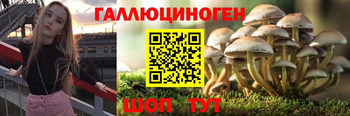 Москва  Галлюциногенные грибы Psilocybe  Вход с VPN 